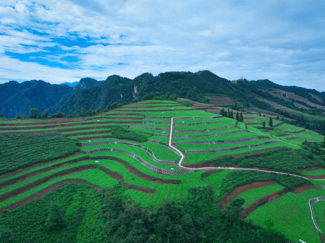 芦山1