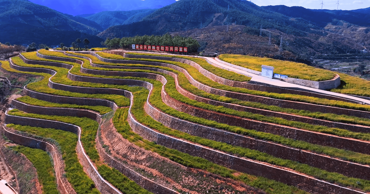 仁和项目