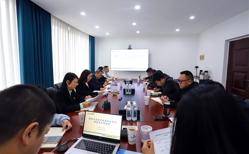 攀西公司纪委举办纪检干部办案基础业务知识专题培训