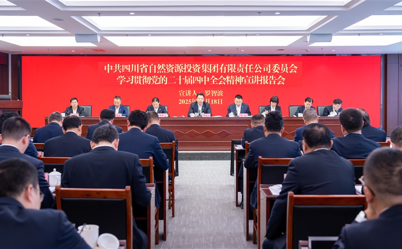 集团召开学习贯彻党的二十届四中全会精神宣讲报告会