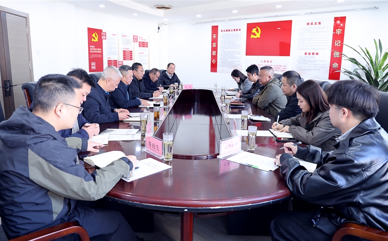 兴蜀设计集团与攀西公司座谈交流