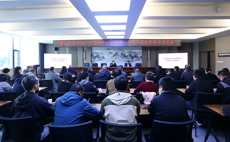 攀西公司开展党的二十届四中全会精神 与中央八项规定精神专题宣讲
