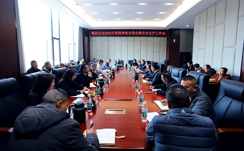 攀西公司召开第四季度安委会会议暨安全生产工作会