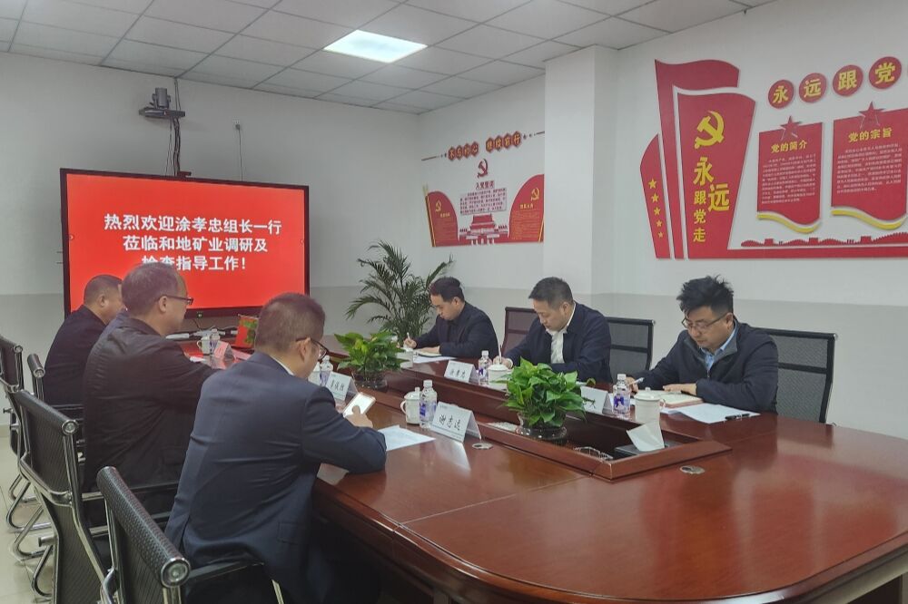 强化党建引领 深化制度建设 推动高质量发展——省自然资源投资集团领导赴和地矿业开展专题调研