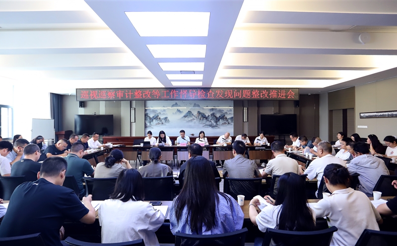 攀西公司召开巡视巡察审计整改等工作督导检查发现问题整改推进会