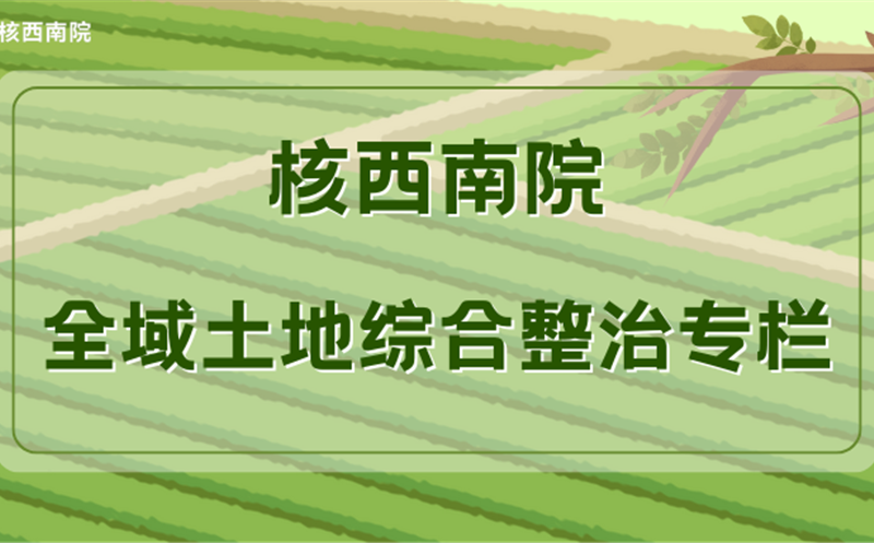 从蓝图“设计师”到产业“兴链人”——青年党员刘若鹏的融合新路