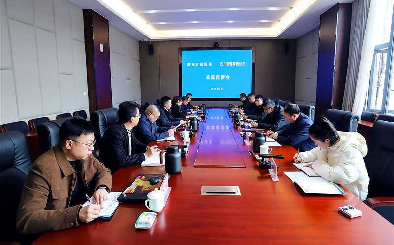 雅安市自然资源和规划局赴攀西公司座谈交流