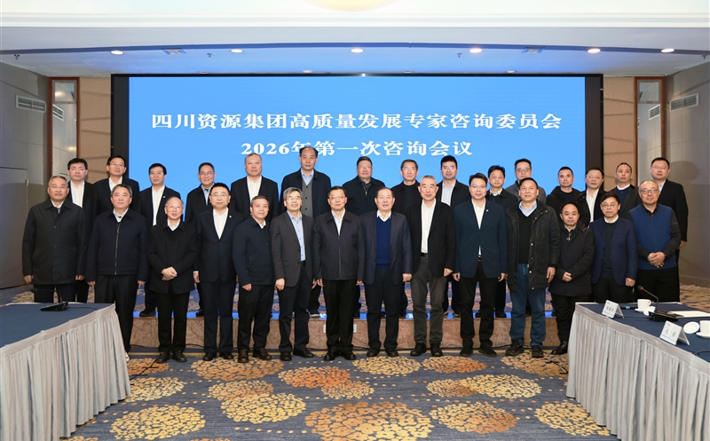 集团高质量发展专家咨询委员会召开2026年第一次咨询会议