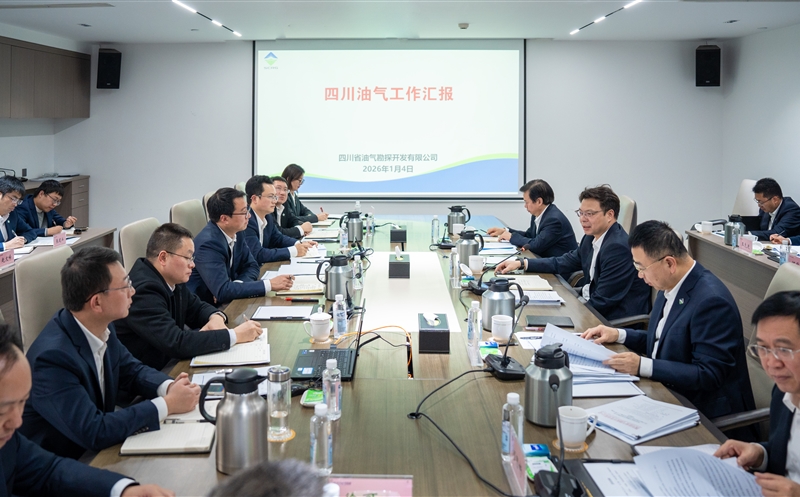 集团领导赴四川油气、四川资环调研