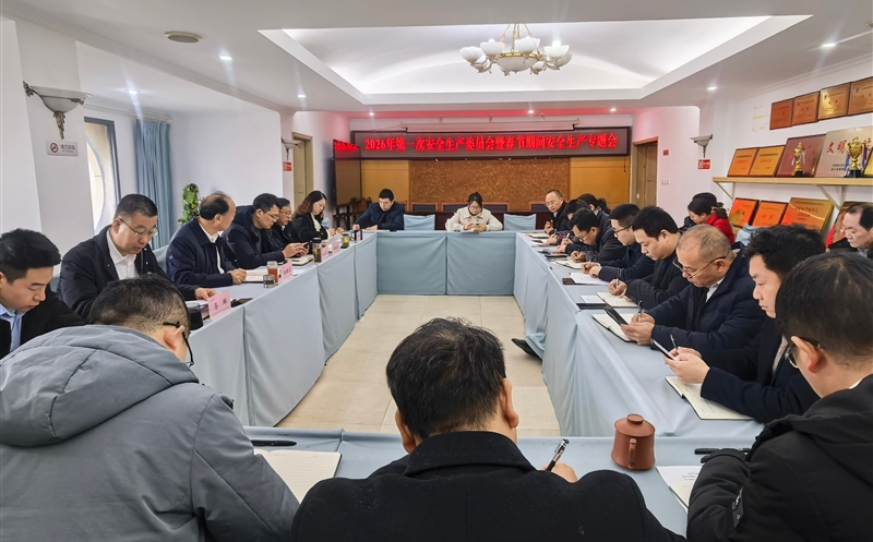 严守安全防线，平安喜迎新年——测绘公司召开2026年第一次安委会暨春节期间安全生产专题会