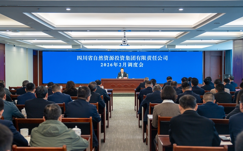 集团召开2026年2月调度会