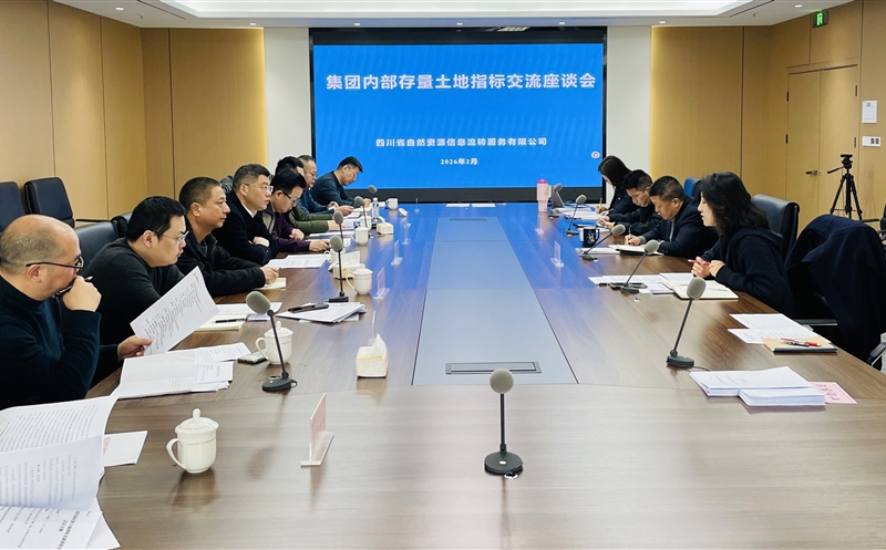 锚定战略协同，激活存量价值——流转服务公司召开集团内部存量土地指标交流座谈会