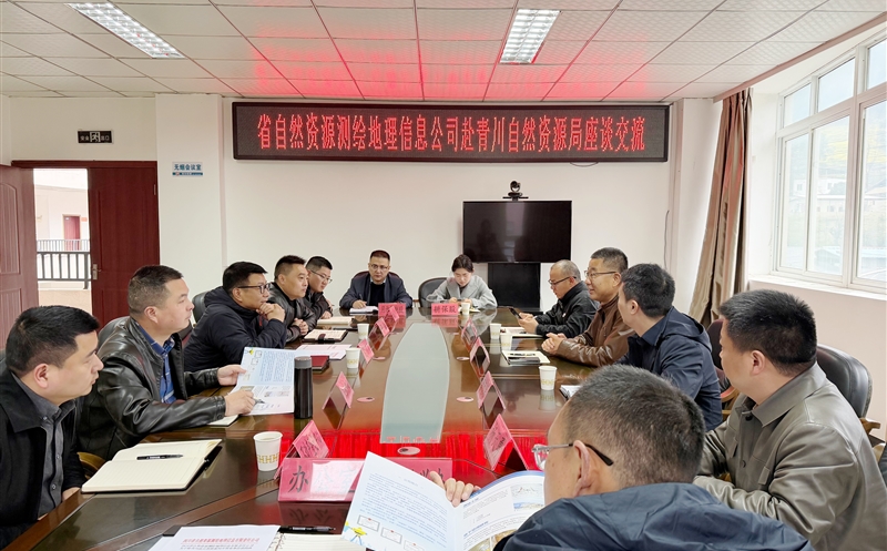 测绘公司领导赴广元开展业务交流与调研指导