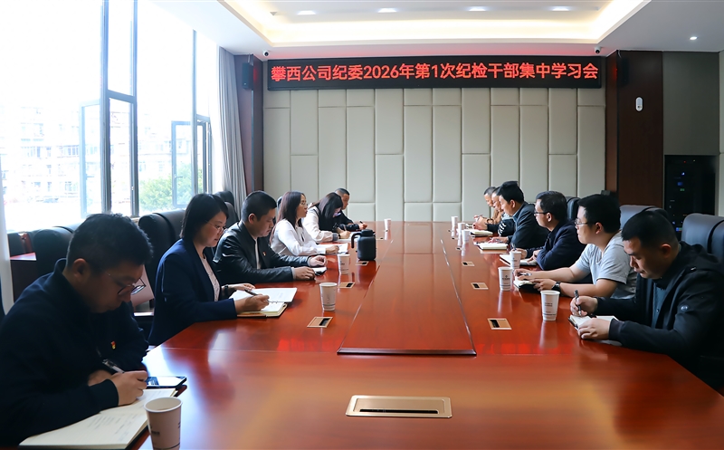 攀西公司纪委召开2026年第1次纪检干部集中学习会