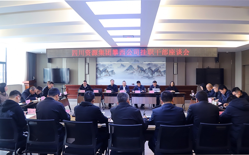 攀西公司召开挂职干部座谈会