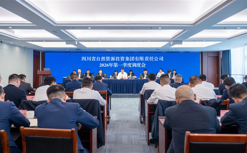集团召开2026年一季度调度会