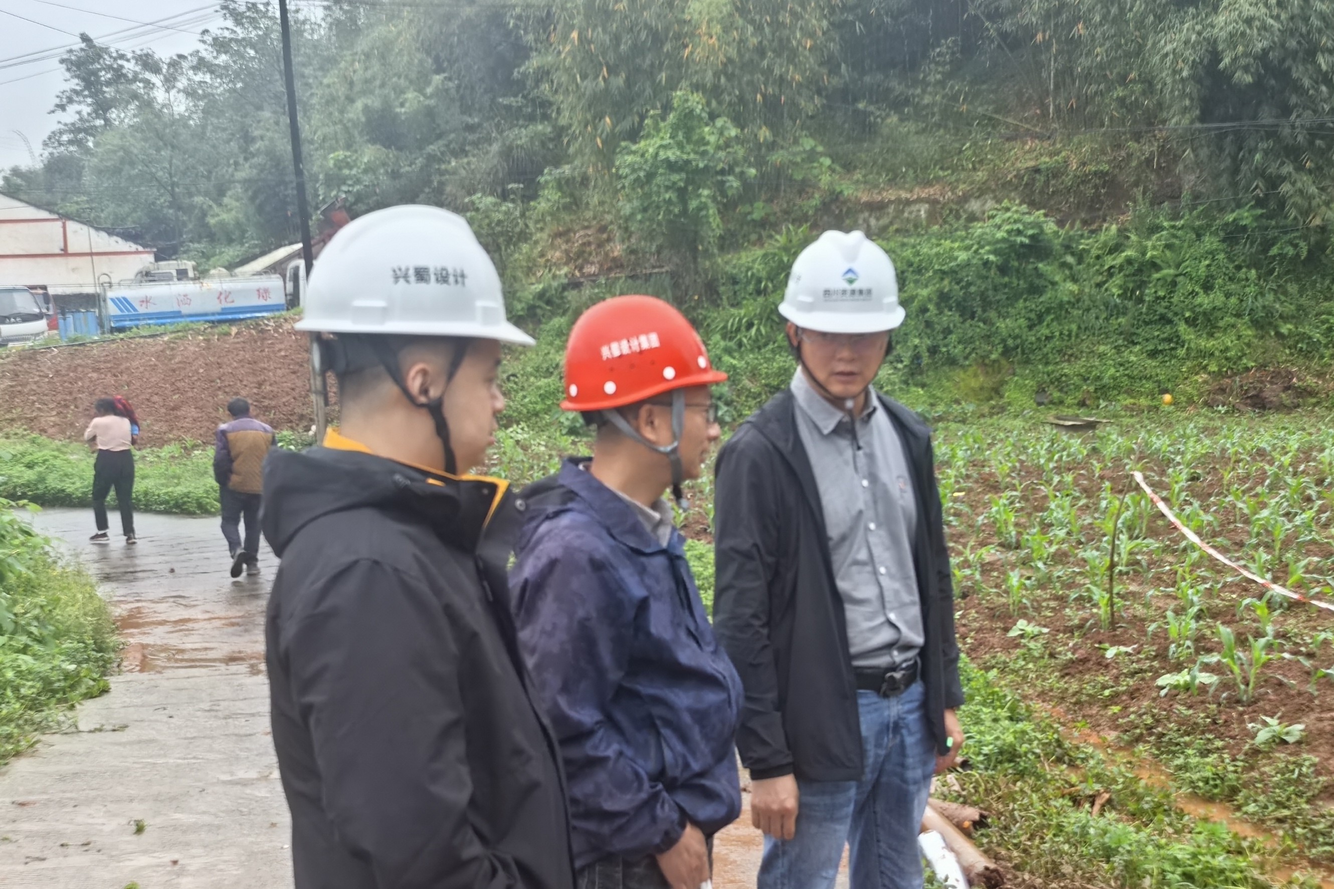 微信图片_20260416142410_80_231