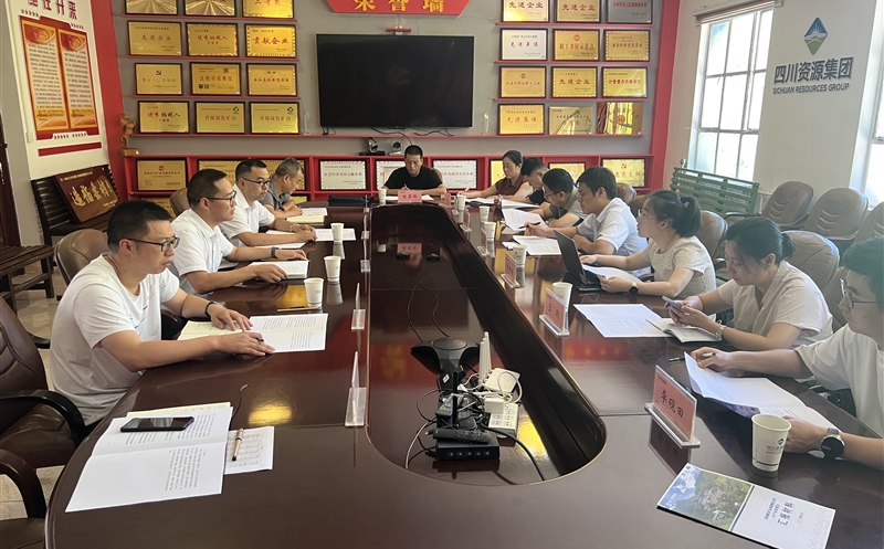 国家税务总局驻西安特派员办事处督导组赴鑫顺矿业下属青羊矿业调研督导税务合规工作