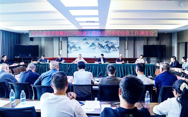 攀西公司召开收款工作会暨四季度经营工作调度会