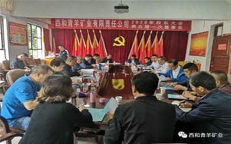 选举产生董监高 新青羊已经起跑