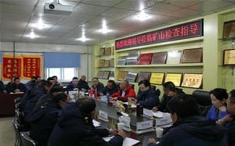 李仕荣一行到松树南沟金矿检查指导工作并考察周边资源情况