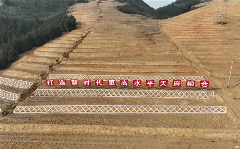 系统性谋划，高标准实施——四川资源助力建设新时代更高水平“天府粮仓”