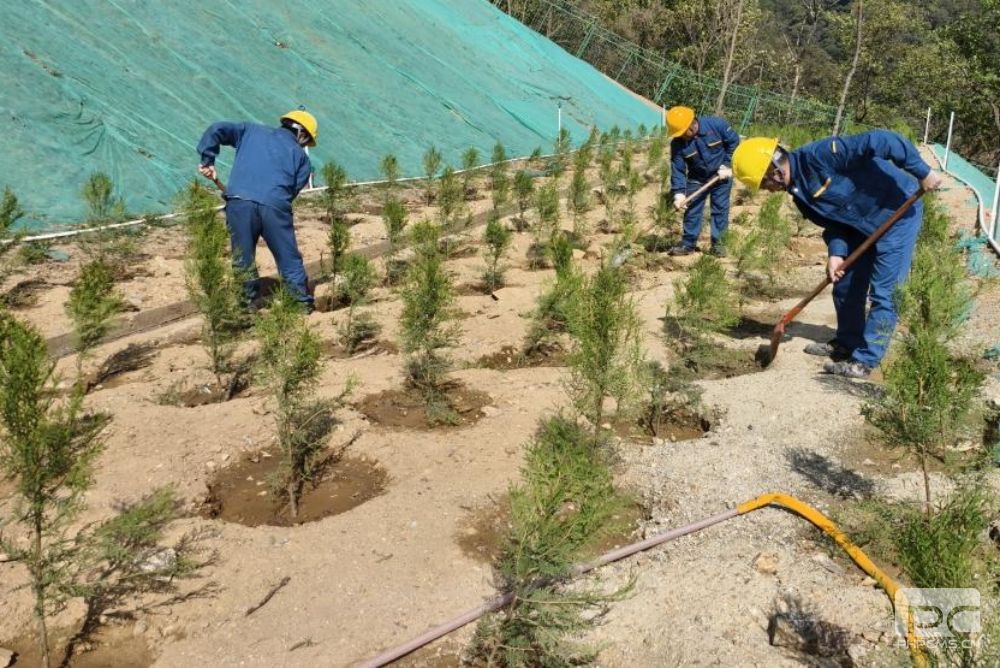 和地矿业开展“世界地球日”植树活动