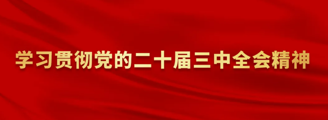 置业集团党委召开理论学习中心组学习（扩大）会传达学习贯彻党的二十届三中全会精神